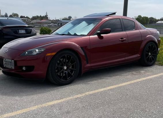 Какие шины ставят с завода на Тигуан? и Почему?